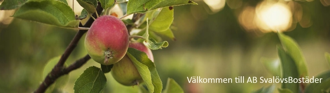 vaelkommen