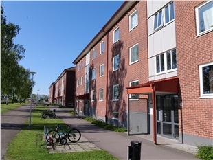 p1122866