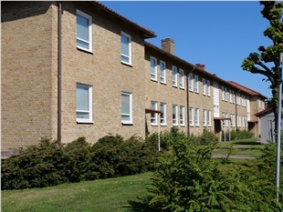p1133209