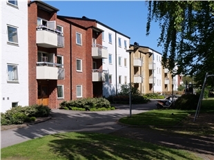 p1133178