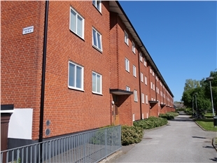 p1133135