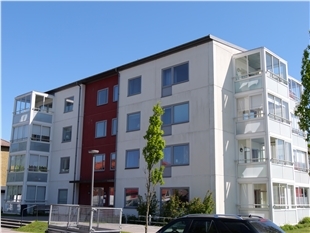 p1133230