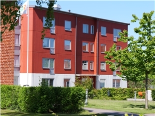p1133237