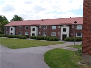 p1133329