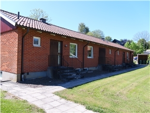 p1133584